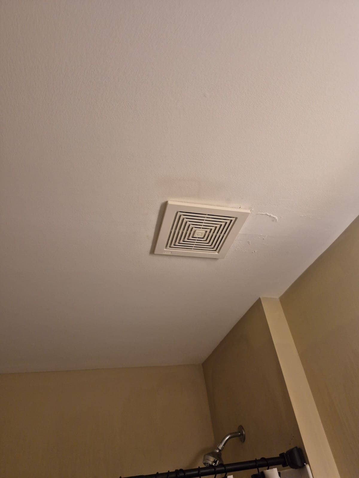 Master Suite Renovation